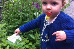 the-herbalist