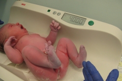 alek-4kg